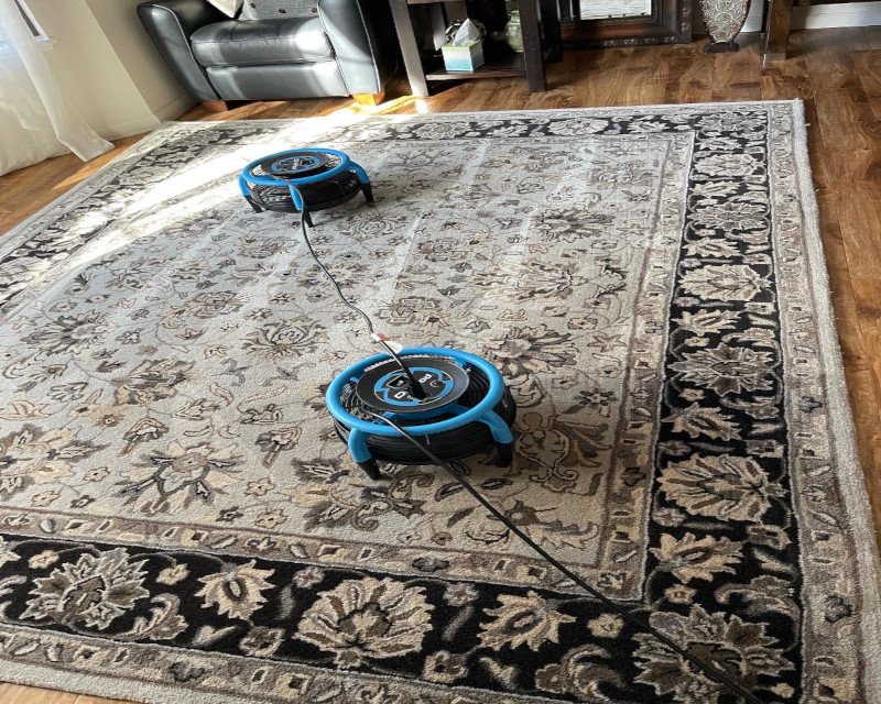 Area-Rug-Cleaning